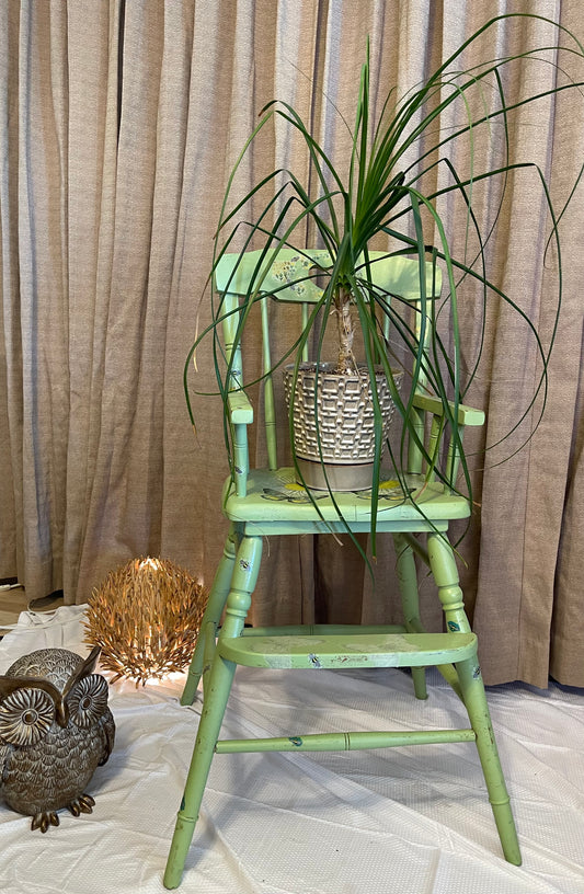 Baby’s first plant stand